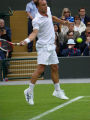 Steve Darcis