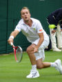 Steve Darcis