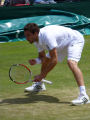 Ernests Gulbis