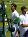 Fernando Verdasco, Ernests Gulbis