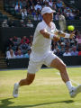 Tomas Berdych