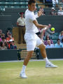 Bernard Tomic