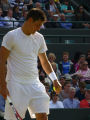 Bernard Tomic