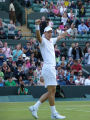 Tomas Berdych