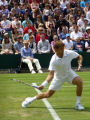 Ryan Harrison