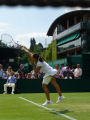 Tamira Paszek
