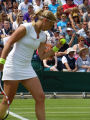 Michaella Krajicek