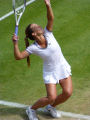 Dominika Cibulkova