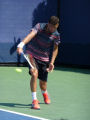 Grigor Dimitrov