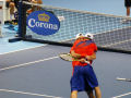 Fernando Verdasco, David Marrero