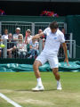 Sergiy Stakhovsky