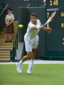 Grigor Dimitrov