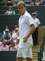 Ryan Harrison
