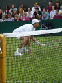Eric Butorac