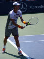 Tomas Berdych