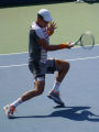 Tomas Berdych