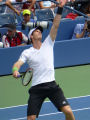 Andy Murray