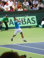 Fabio Fognini