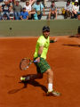 Steve Johnson