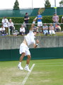 Ivan Dodig