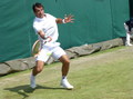 Ivan Dodig