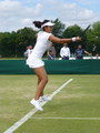 Yafan Wang