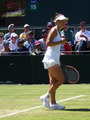 Casey Dellacqua