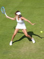 Tsvetana Pironkova
