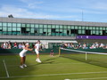 Timea Babos, Alexander Peya