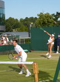Alexander Peya, Timea Babos