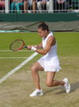 Andrea Petkovic