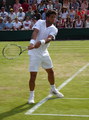 Fernando Verdasco
