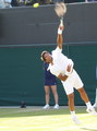 Fernando Verdasco