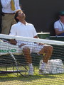 Fernando Verdasco