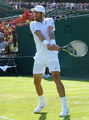 Steve Johnson