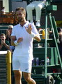 Steve Johnson