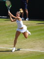 Camila Giorgi
