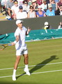 Vasek Pospisil