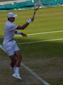 Vasek Pospisil