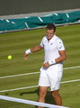 Vasek Pospisil
