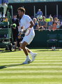 Robin Haase