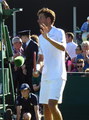 Robin Haase