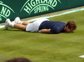 Andy Murray