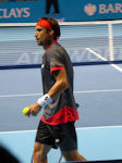 David Ferrer