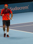 Florin Mergea