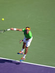 Damir Dzumhur