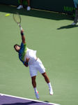 Fernando Verdasco