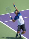 Tomas Berdych