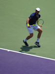Steve Johnson