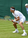 David Ferrer